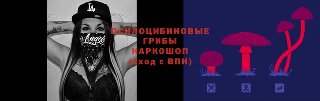 мет Алзамай