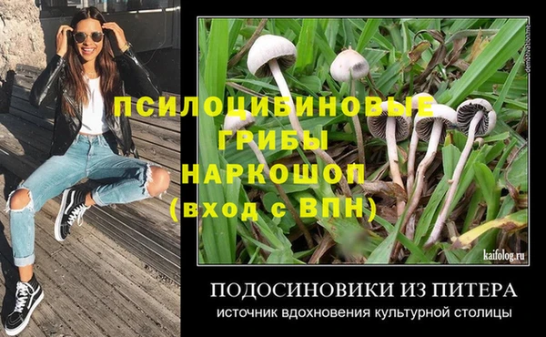 ECSTASY Алексеевка