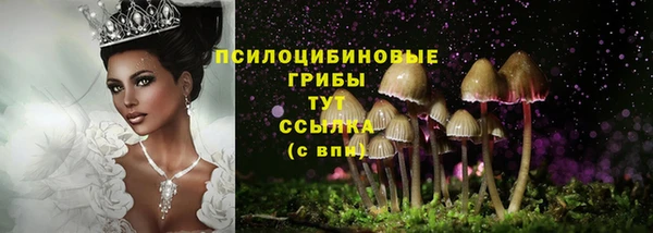 2c-b Алексин