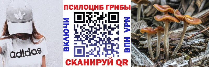 Купить закладки  Сочи  Галлюциногенные грибы мухоморы 