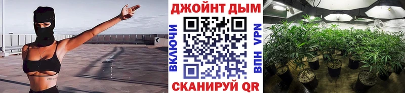 Купить закладки  Сочи  Марихуана Amnesia 